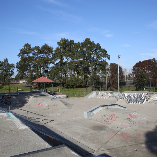 Jack Shanahan Skate park bowl